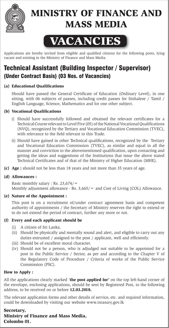 Technical Assistant - Ministry of Finance & Mass Media